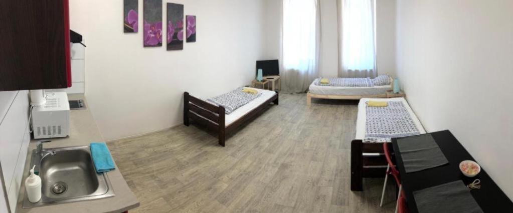 Apartments Near The Center With Privat Parking Brno Exterior foto